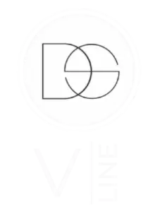 Logo vertical DS V-line